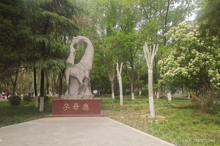 Jinggang Park