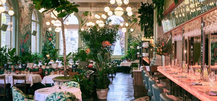 The Ivy Exeter