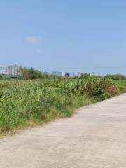 河堤路城市運動公園