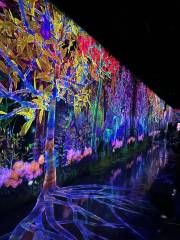 teamLab Forest Fukuoka