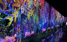 teamLab Forest Fukuoka