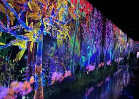 teamLab Forest Fukuoka