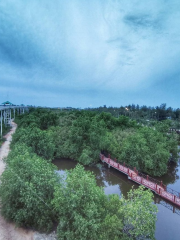 Pattani Sky Walk