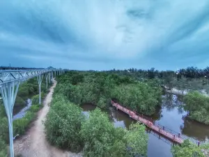 Pattani Sky Walk