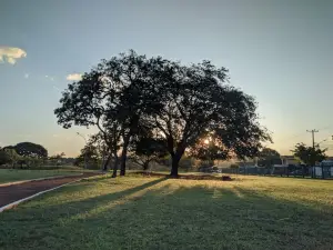 Park Ayrton Senna