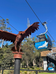 Arthurs Seat Eagle - Summit Station