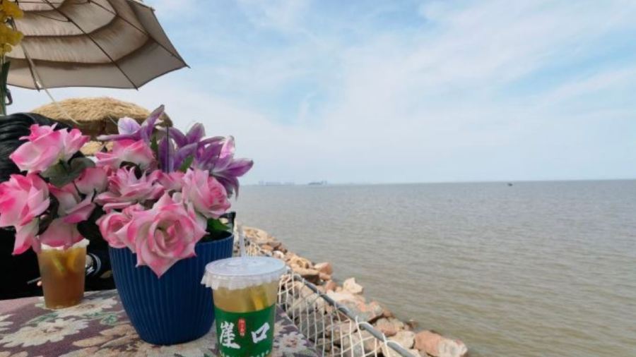 HONG SHU LIN HAI XIAN CAN TING