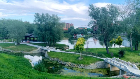 Altay Swan Lake Park