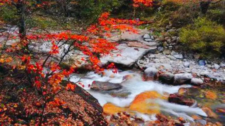 Hotels near Huang Bai Yuan