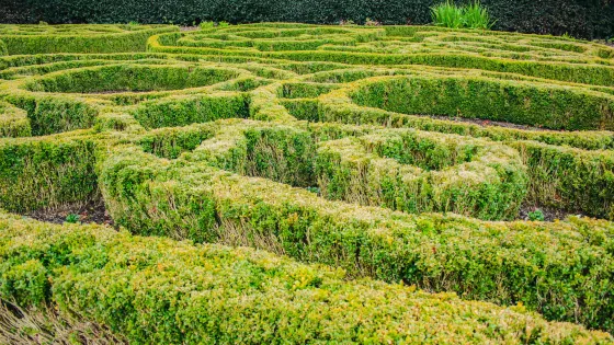 達尼丁植物園