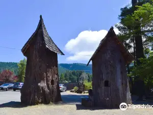 Shrine Drive Thru Tree