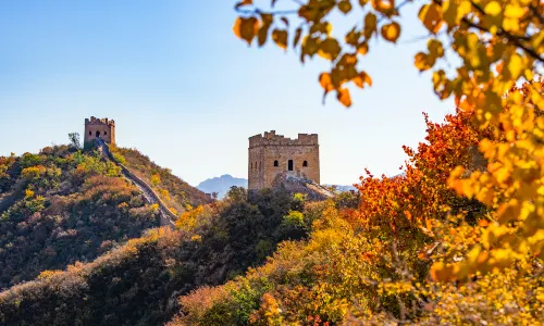 금산령 장성
