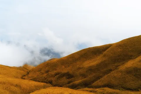 Golden Peak