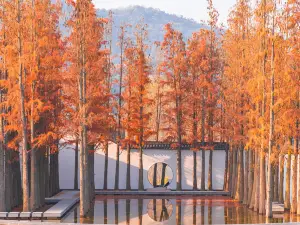 湘湖