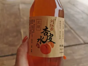 刘红杏·杏皮水店