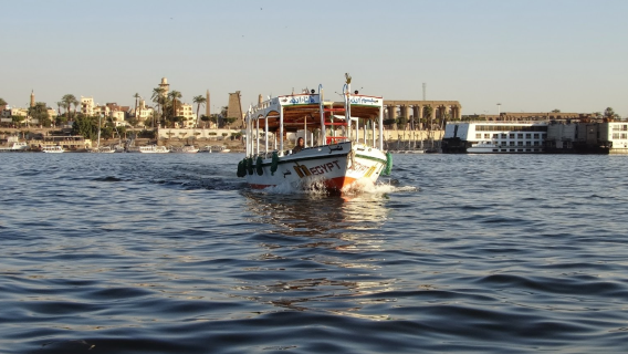 Sailing boat Felucca