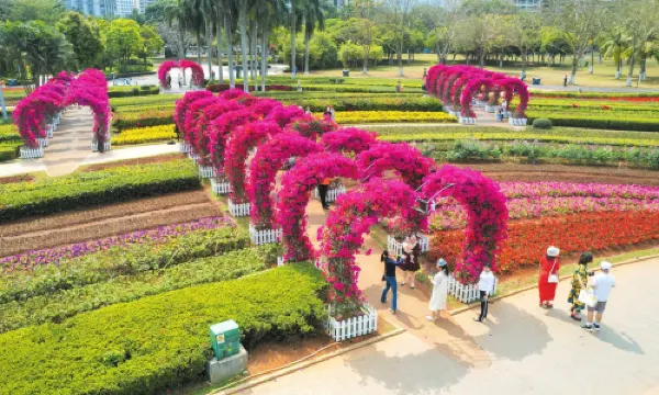 แวนกรีนการ์เด้น