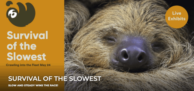 Survival of the Slowest | Fleet Science Center