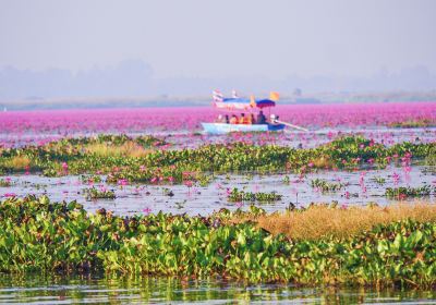 Kumphawapi
