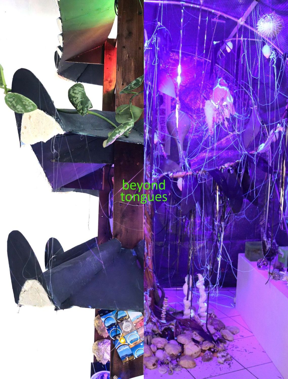 beyond tongues. Synesthetic Transmission&quot; | Galerie im Saalbau