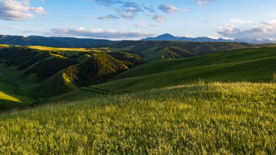 Kangle Grassland