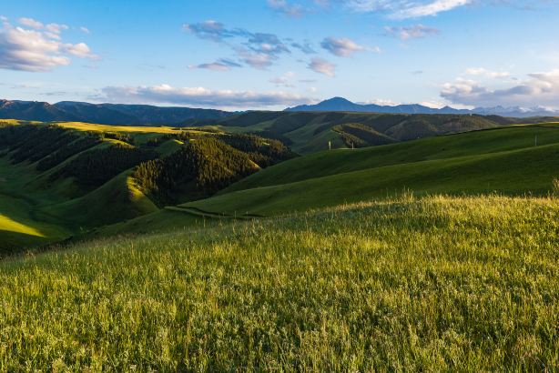 Kangle Grassland