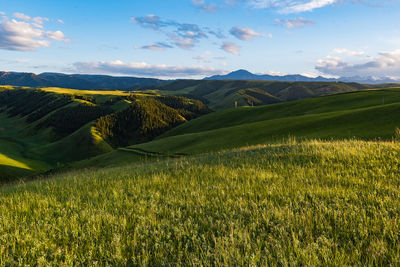 Kangle Grassland
