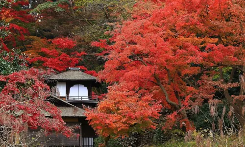 Sankeien Garden