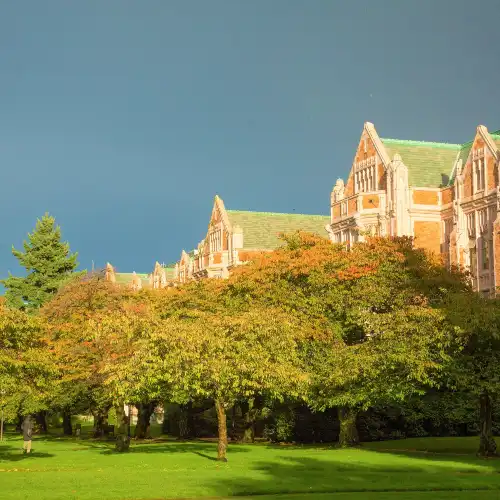Popular Fall Viewing Attractions in Seattle