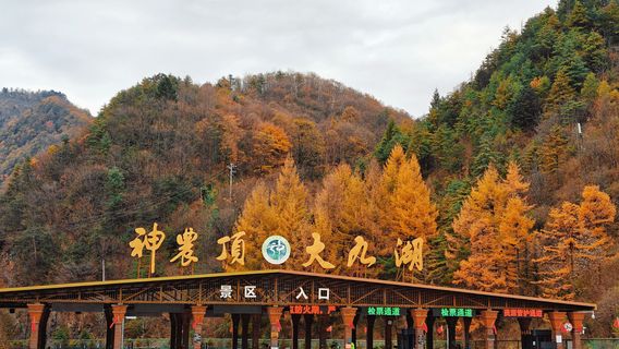 Dajiu Lake