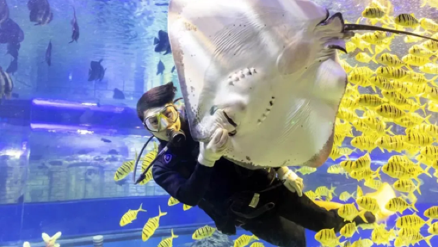 Tianjin Cultural Center Underwater World