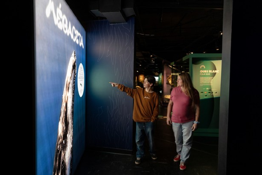 Megaceta | Montreal Biodome