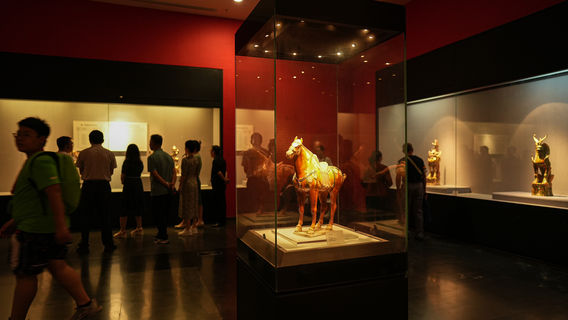 Museum Tours in Luoyang