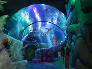 名古屋シーライフ水族館