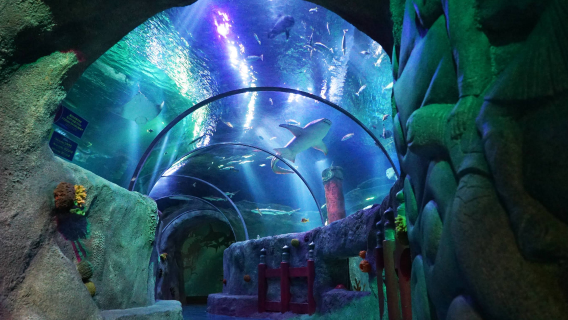 SEA LIFE Nagoya Aquarium