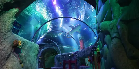 名古屋SEA LIFE水族館