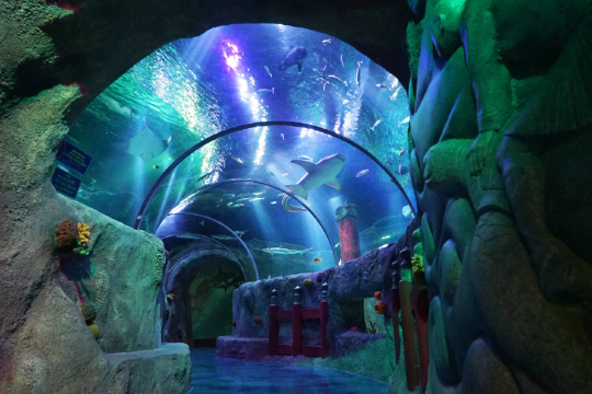 名古屋SEA LIFE水族館