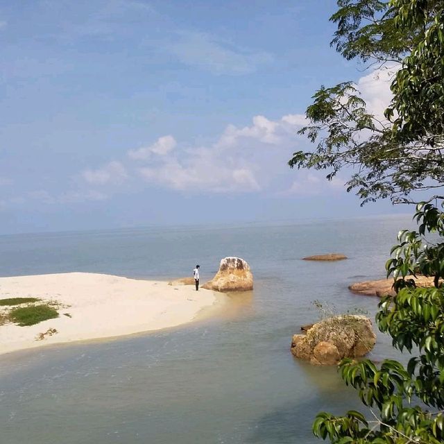 Penang National Park