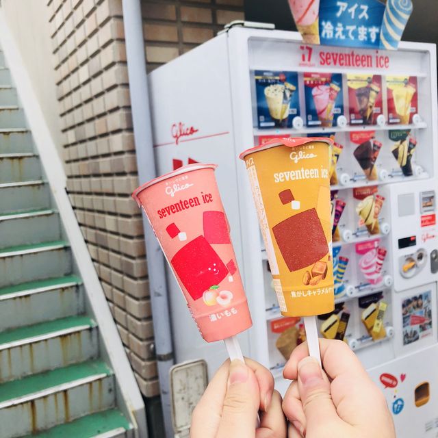 부산에서 가까운 일본! 당일치기가능