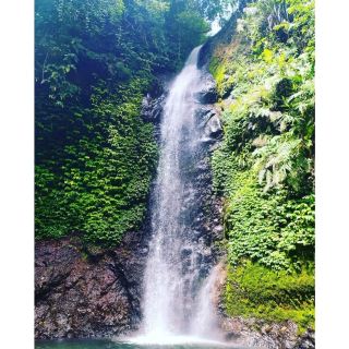 Due to the popularity, Singokromo Waterfall is well-known among outsiders and even foreigners too! These people are interested in several things. The beauty and serenity are indeed common. However, the waterfall also offers other allures including the mystery and history. In terms of name, it derives from “Singo” which means lions and “Kromo” which means mating. As the name suggests, that area once became a place for lions to gather and mate. The locals even consider it sacred and mystical!
Along the way to Singokromo Waterfall, you would see some old men who walk and head to someplace. It is said these people are local hermits who often spend their time in the mountain. The waterfall itself becomes one of their favorite spots for hermitage! The presence of these people creates a distinct ambiance to the site indeed.
 
In order to reach the site, you need to pass through foggy hills most of the times, especially in the early morning. Along the way to the location, a chilling air and refreshing atmosphere accompany everyone. Cliffs and valleys are also seen there. Lots of trees grow beautifully. The route is rocky and uneven, so everyone must walk carefully later. From the parking area, it takes a short trekking for about 300 meters to get to the site.
#summervacation#hikingtrails#urbanexplorer