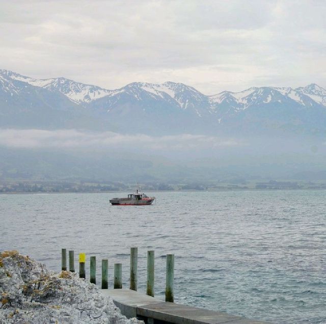 Kaikoura