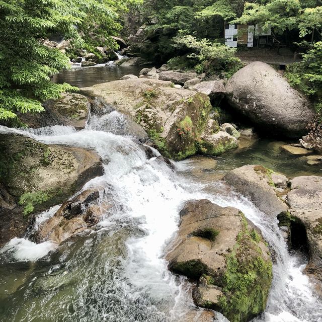 世界遺産ー屋久島