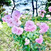 葛西臨海公園