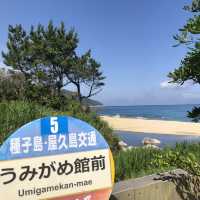 屋久島〜いなか浜