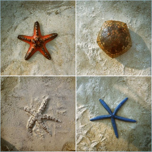 Pari Island - Crystal Clear Beach!  Pari Island - Crystal Clear Beach!