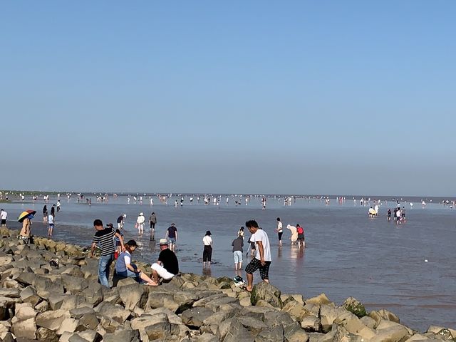 Outer Shanghai: There’s Plenty to See Outer Shanghai: There’s Plenty to See