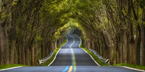 2人起私家團茅山得撒石磨豆腐村一日遊南京鎮江揚州常州上門接送