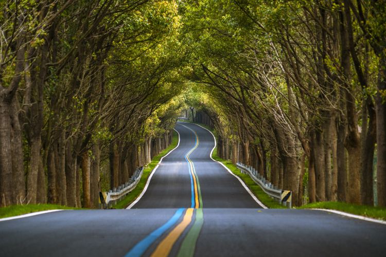 Jurong Maoshan Scenic Area