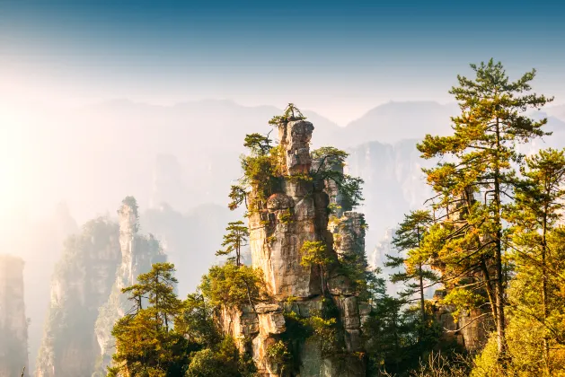 Отзывы об отеле Zhangjiajie Jiawang Homestay (West Railway Station)