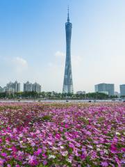 Haixinsha Yayun Park